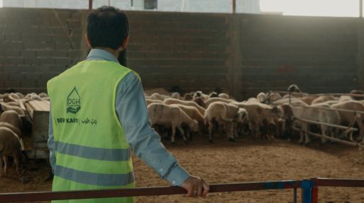 Gazze'ye Kurban Bağışı